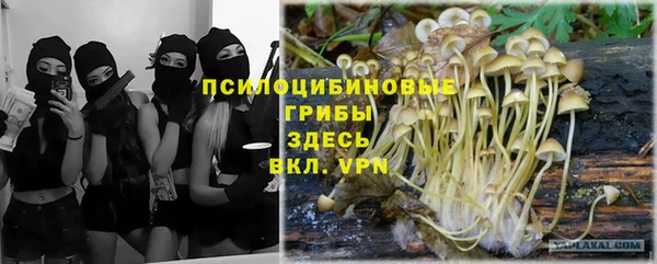 эйфоретик Медвежьегорск