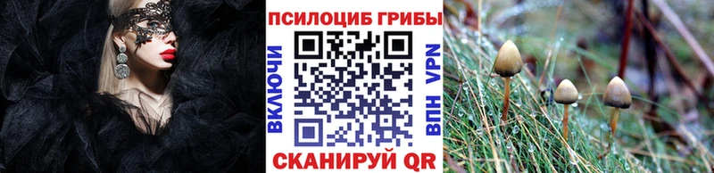 гидра   хочу наркоту  Елизаветинская  Псилоцибиновые грибы Magic Shrooms 